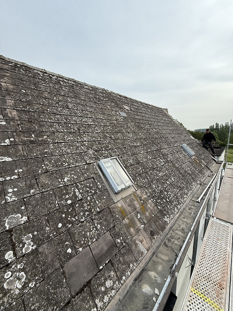 Project Image /images/projecten/dakbedekking-dendermonde/3.jpg