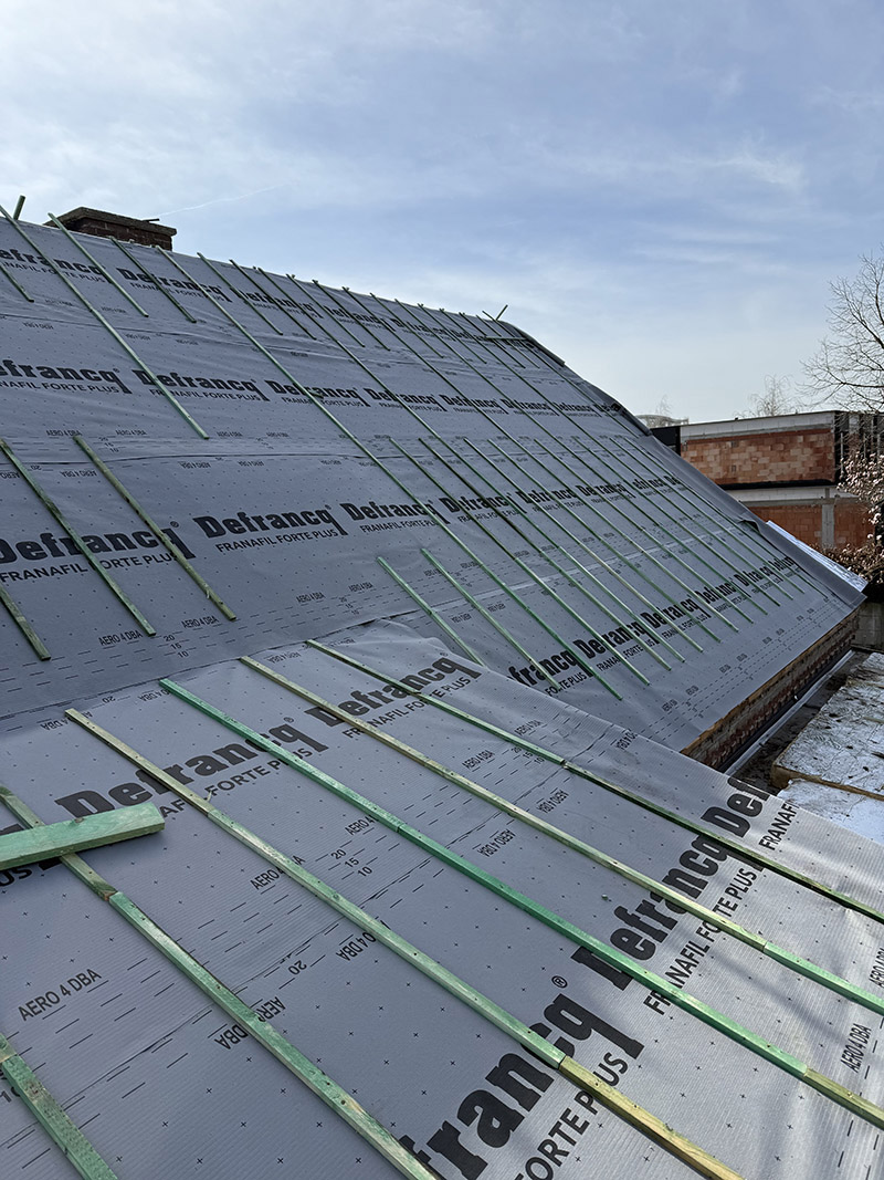 Project Image /images/projecten/dakbedekking-steenokkerzeel-1/IMG_2730.jpg