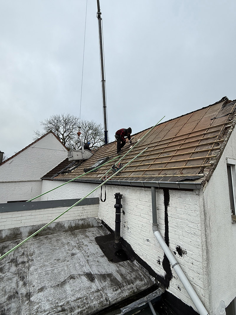 Project Image /images/projecten/dakbedekking-zarlardinge/2.jpg