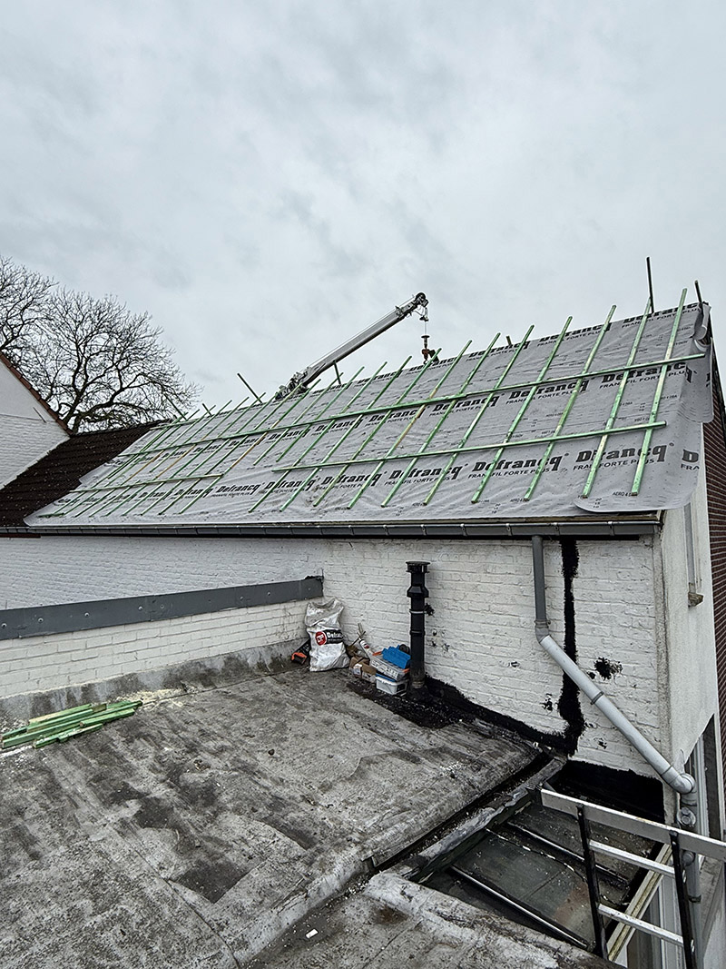 Project Image /images/projecten/dakbedekking-zarlardinge/3.jpg
