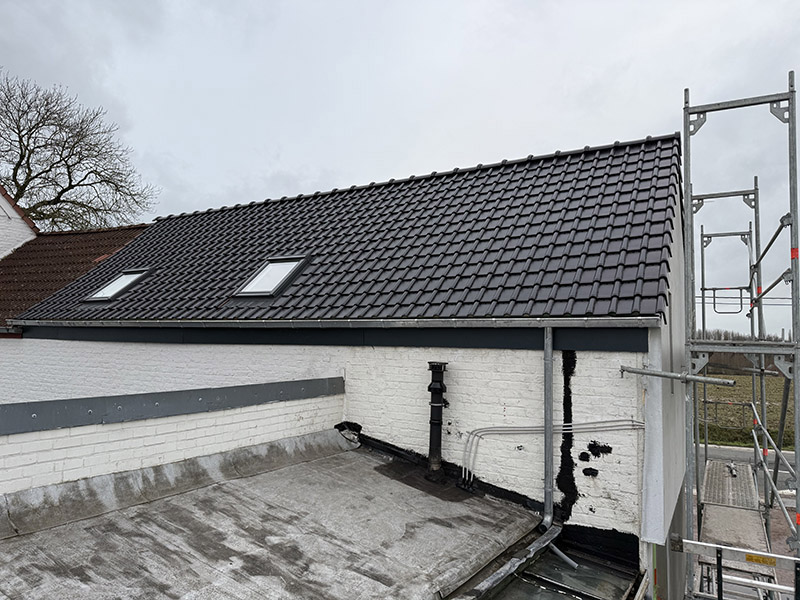 Project Image /images/projecten/dakbedekking-zarlardinge/6.jpg