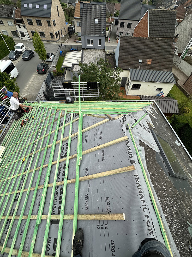 Project Image /images/projecten/dakwerken-haaltert/IMG_0864.jpg